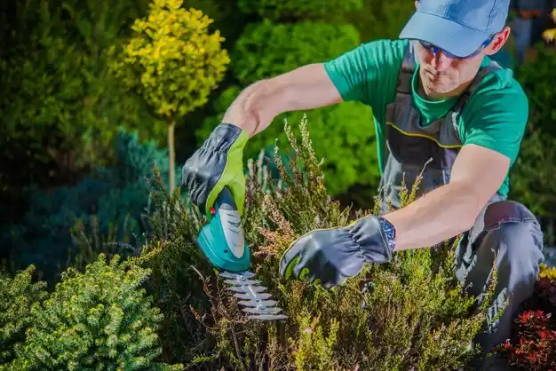 landscaping services Park Layne